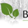 <emBirchway tax consultantspty>