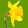 Country Garden services