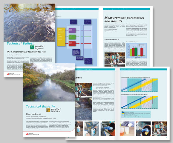 Intervet/Schering-Plough sales literature